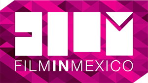 LOGO-FIM_color01_md
